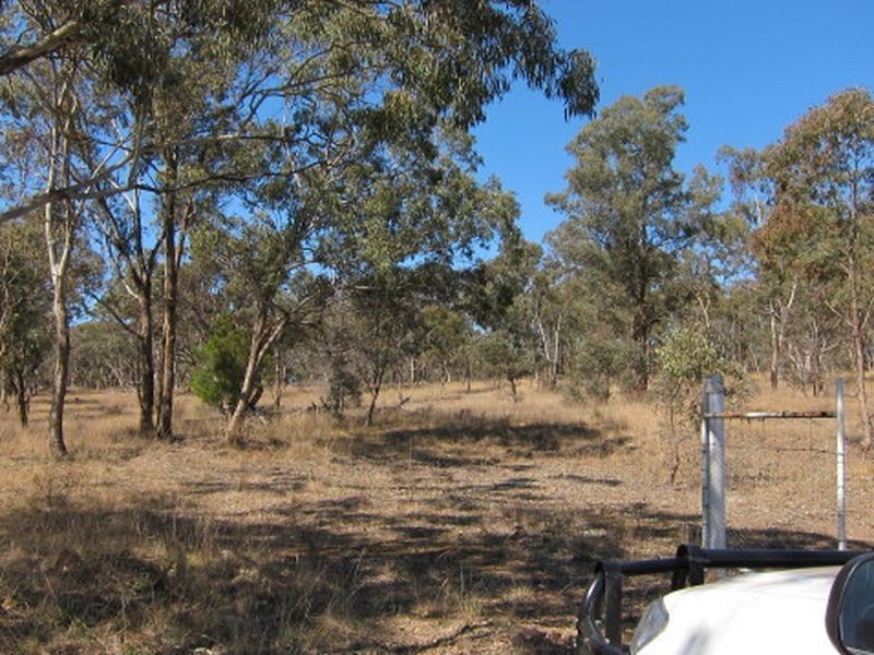1382 Gulf Road, Emmaville NSW 2371