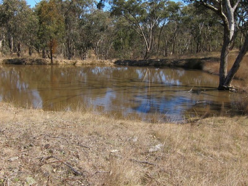 1382 Gulf Road, Emmaville NSW 2371