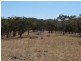 1382 Gulf Road, Emmaville NSW 2371