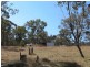 1382 Gulf Road, Emmaville NSW 2371