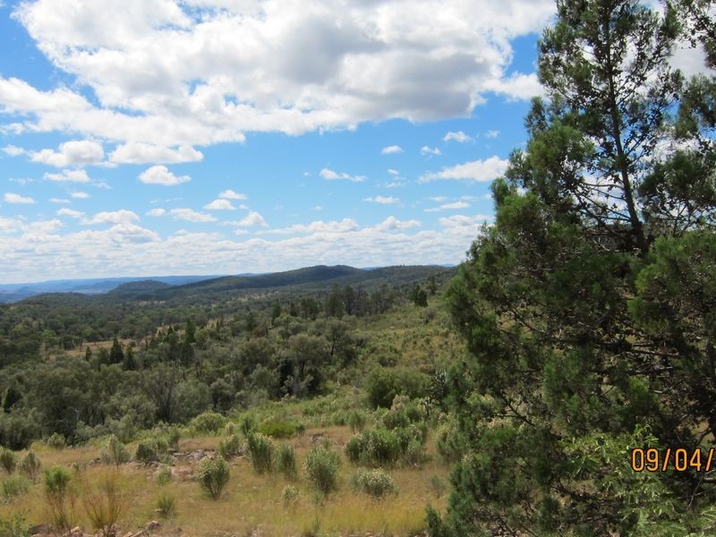 Lots 81 43 South Valley Road, Ashford NSW 2361