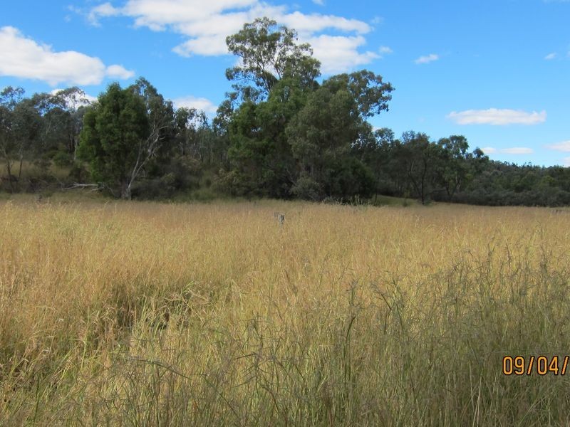 Lots 81 43 South Valley Road, Ashford NSW 2361