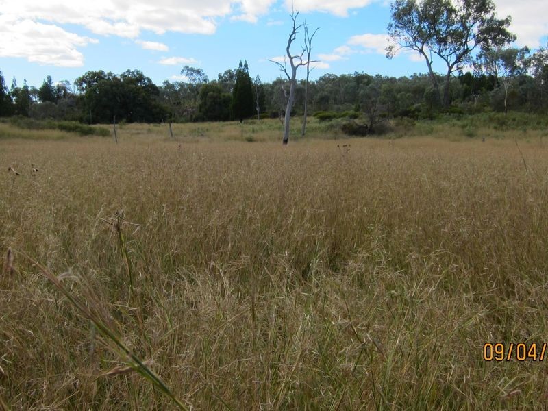 Lots 81 43 South Valley Road, Ashford NSW 2361