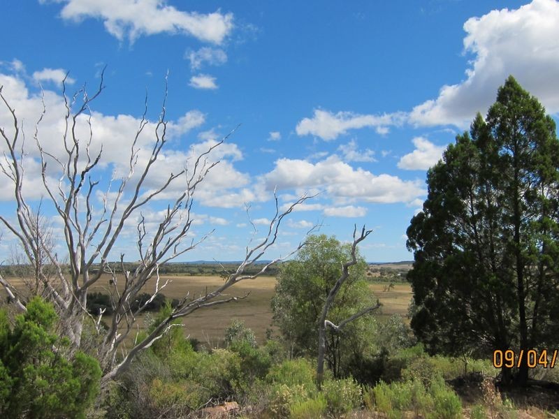 Lots 81 43 South Valley Road, Ashford NSW 2361