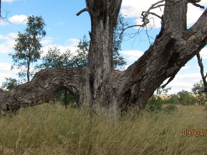 Lots 81 43 South Valley Road, Ashford NSW 2361