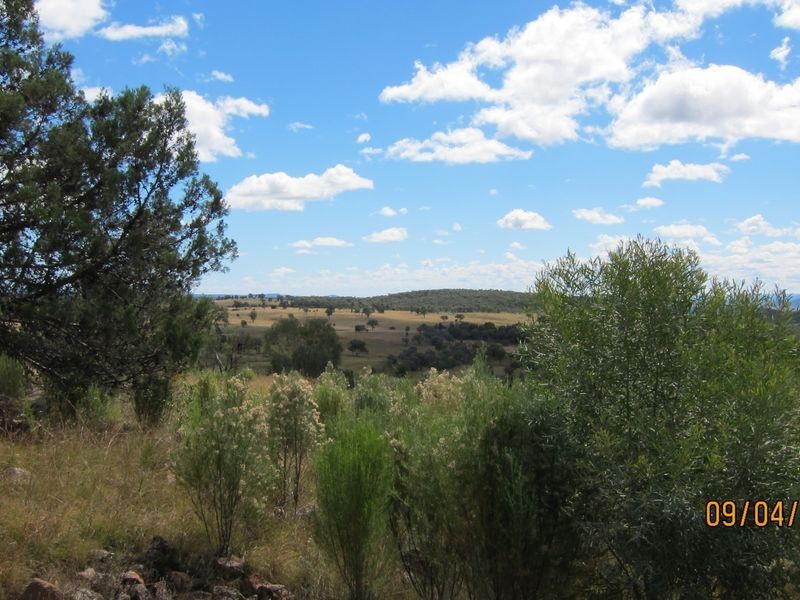 Lots 81 43 South Valley Road, Ashford NSW 2361