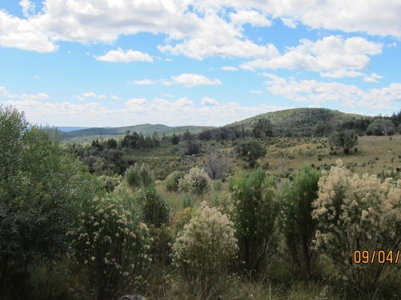 Lots 81 43 South Valley Road, Ashford NSW 2361