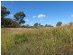 Lots 81 43 South Valley Road, Ashford NSW 2361