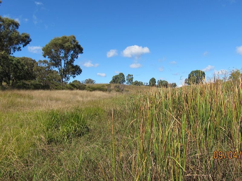 Lots 81 43 South Valley Road, Ashford NSW 2361