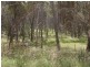 Lot 5 Ward Crescent, Glen Innes NSW 2370