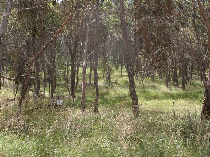 Lot 5 Ward Crescent, Glen Innes NSW 2370