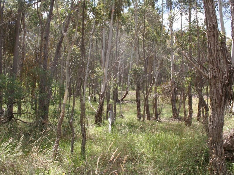 Lot 5 Ward Crescent, Glen Innes NSW 2370