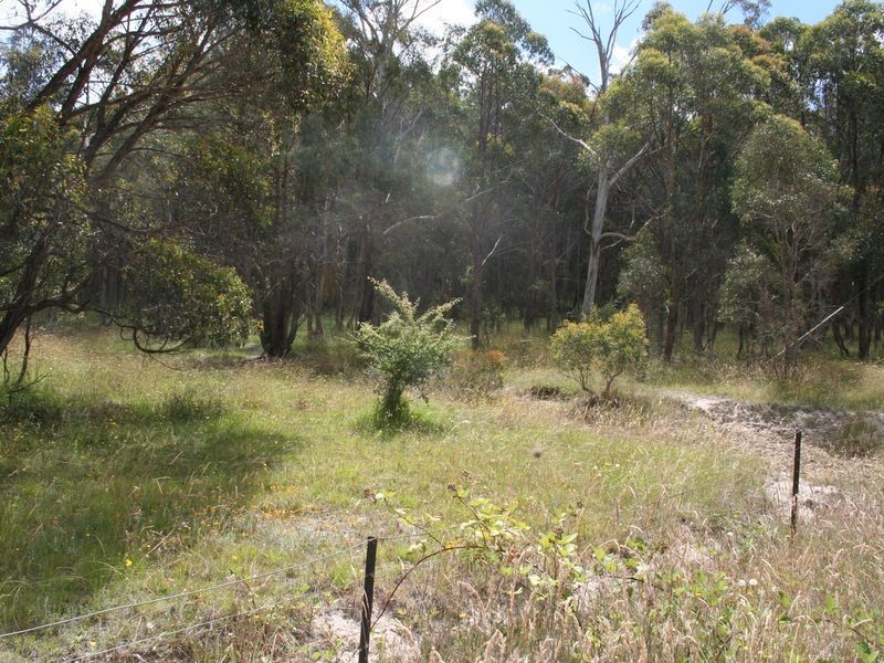 Lot 5 Ward Crescent, Glen Innes NSW 2370
