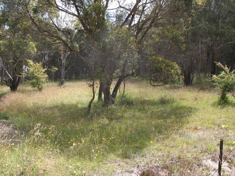 Lot 5 Ward Crescent, Glen Innes NSW 2370