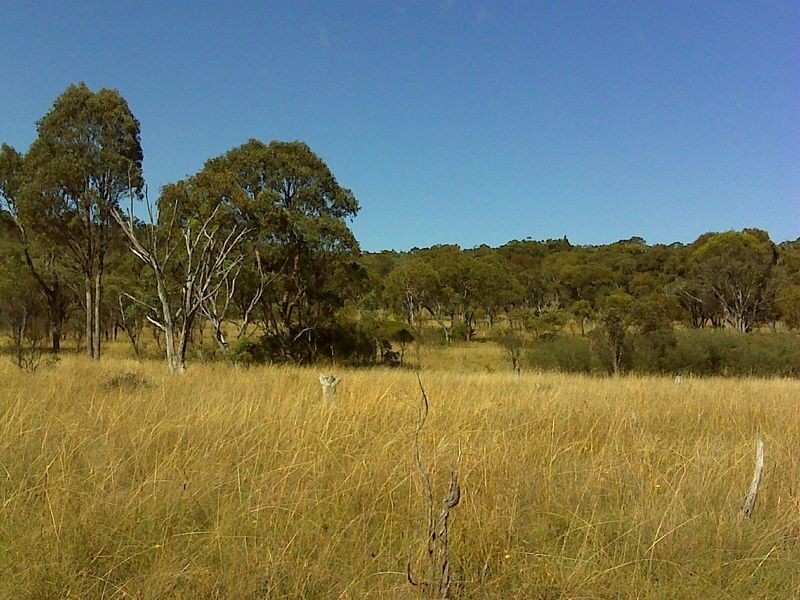 113/753267 Yarraford Road, Dundee NSW 2370