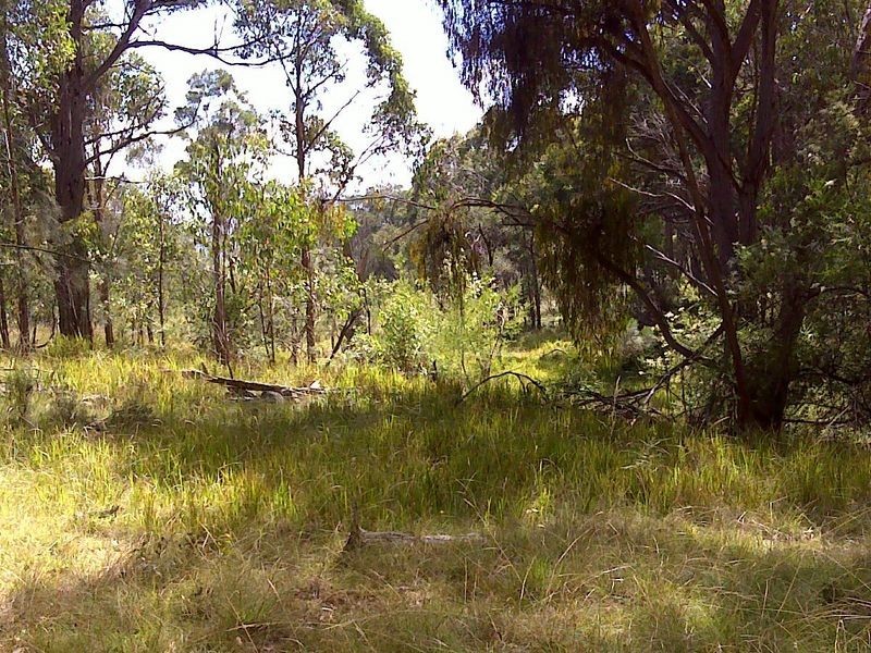 113/753267 Yarraford Road, Dundee NSW 2370