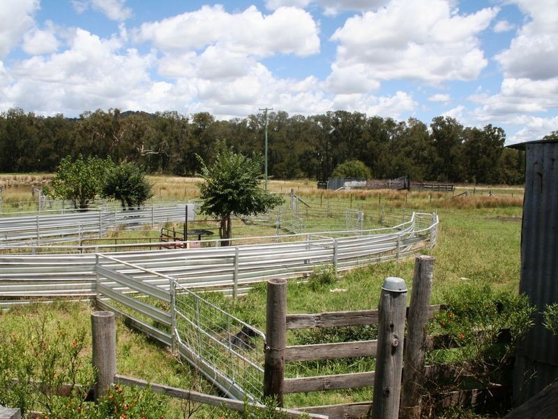 113 Summerville Road, Emmaville NSW 2371