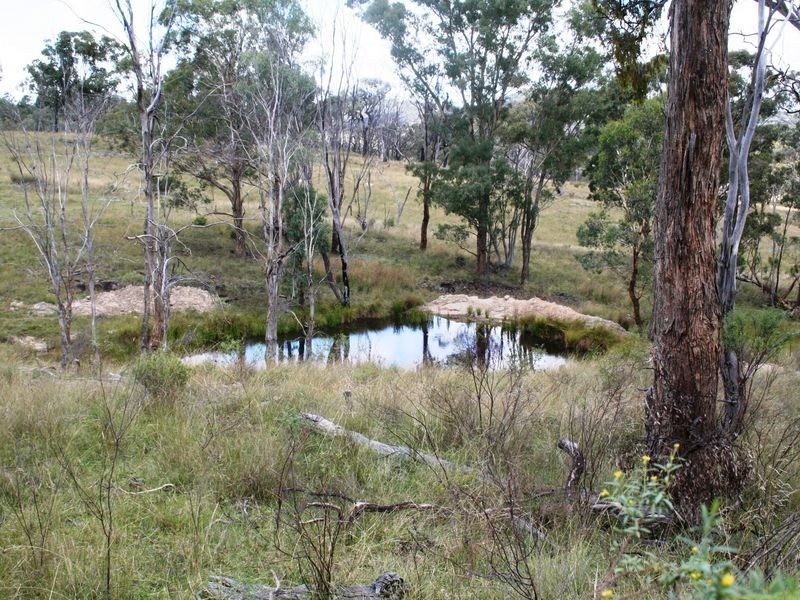 113 Summerville Road, Emmaville NSW 2371