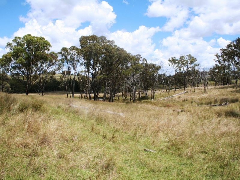 113 Summerville Road, Emmaville NSW 2371