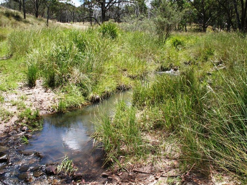 113 Summerville Road, Emmaville NSW 2371