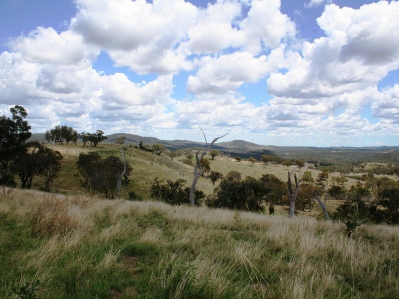 113 Summerville Road, Emmaville NSW 2371