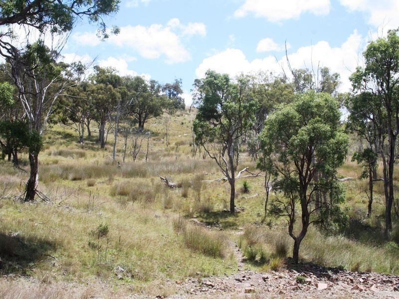 113 Summerville Road, Emmaville NSW 2371