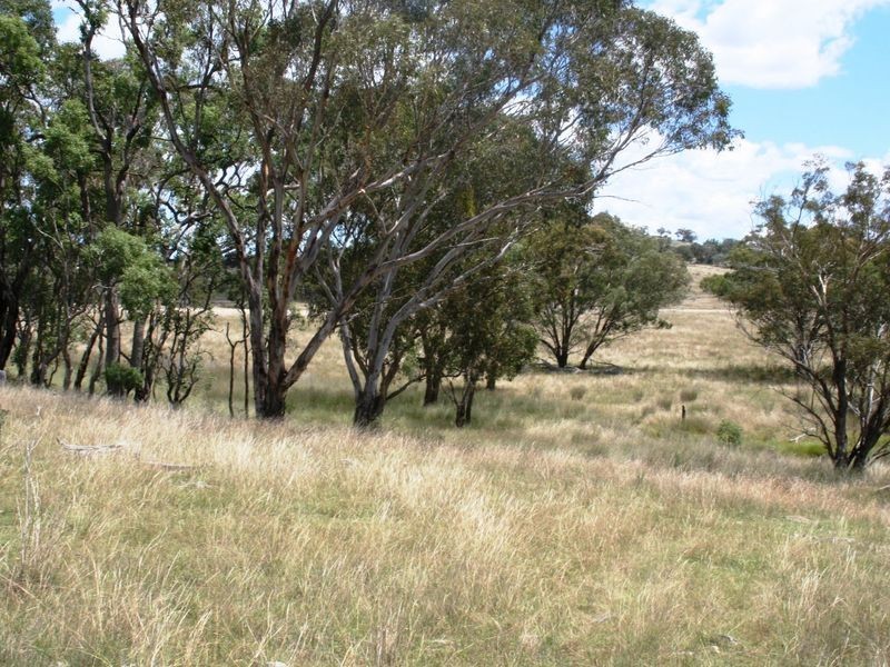 113 Summerville Road, Emmaville NSW 2371