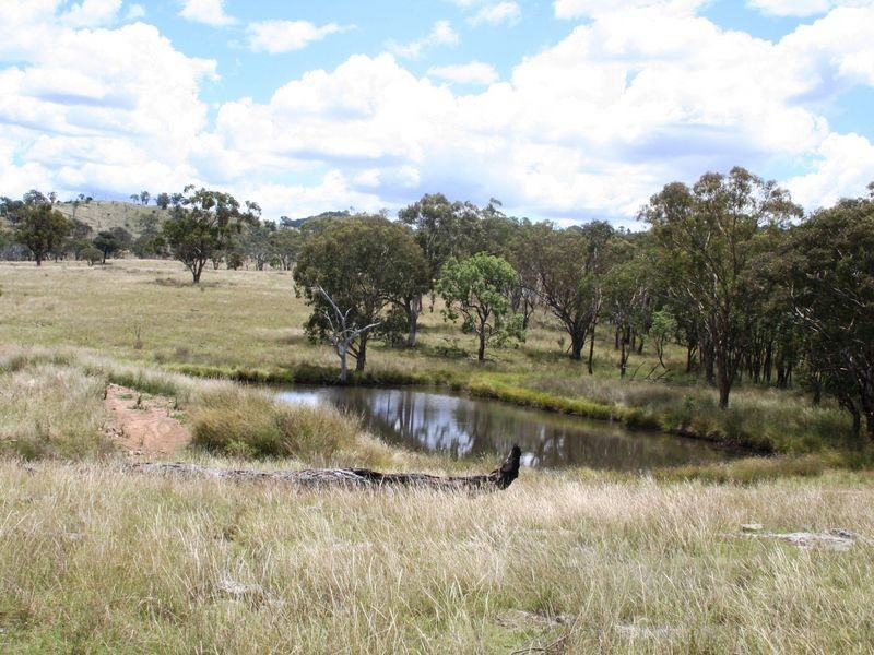 113 Summerville Road, Emmaville NSW 2371