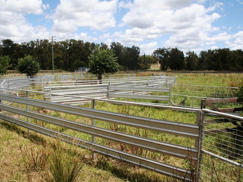 113 Summerville Road, Emmaville NSW 2371