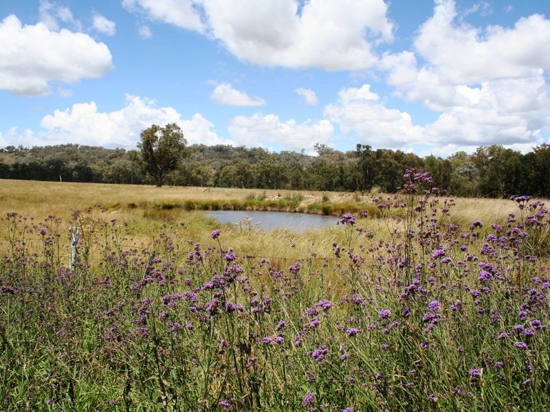 113 Summerville Road, Emmaville NSW 2371