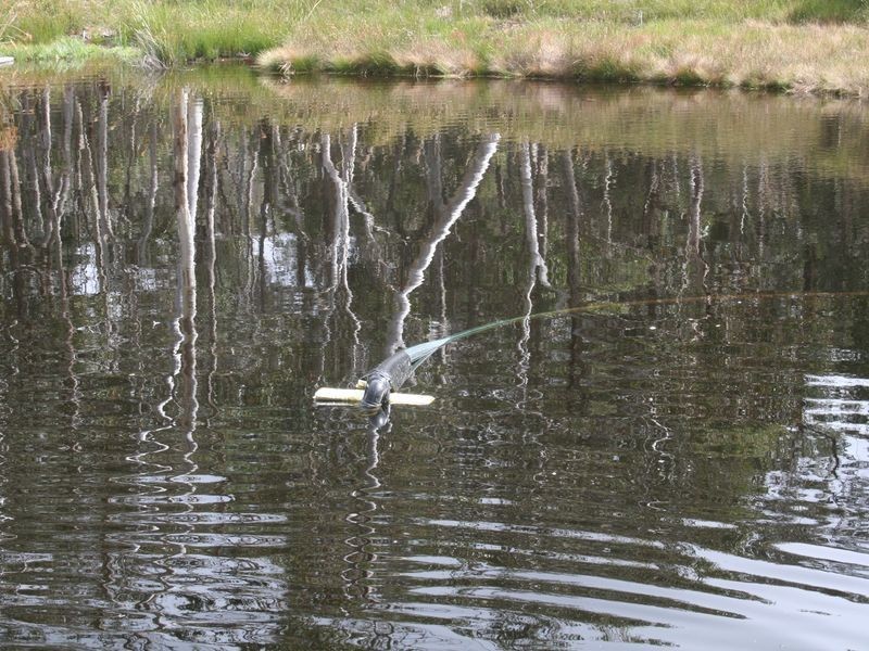 737 Aqua Park Road, Mount Mitchell NSW 2365