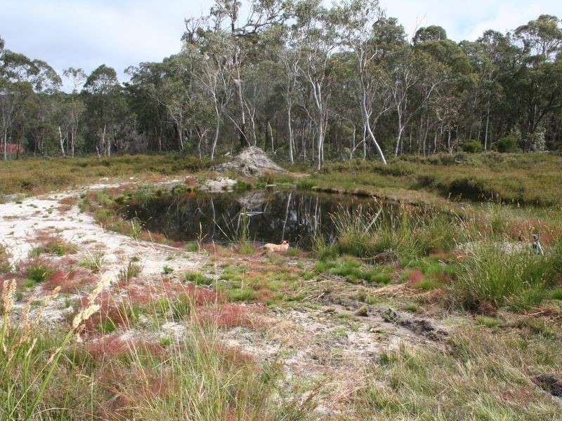 737 Aqua Park Road, Mount Mitchell NSW 2365