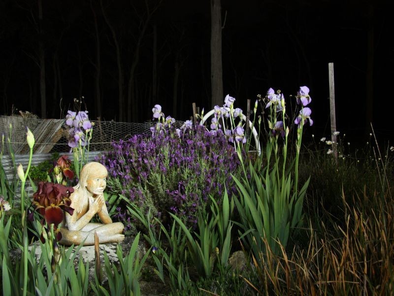 737 Aqua Park Road, Mount Mitchell NSW 2365