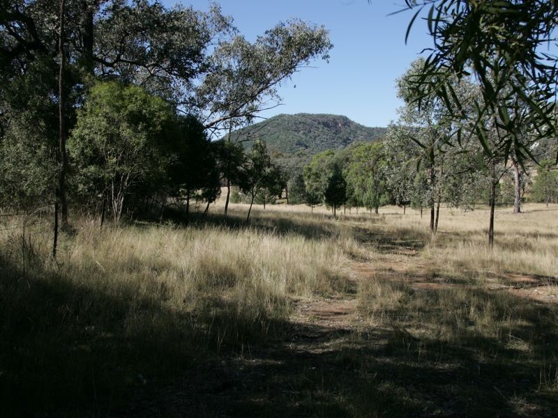 12/786586 Rocky Creek Road, Bonshaw NSW 2361