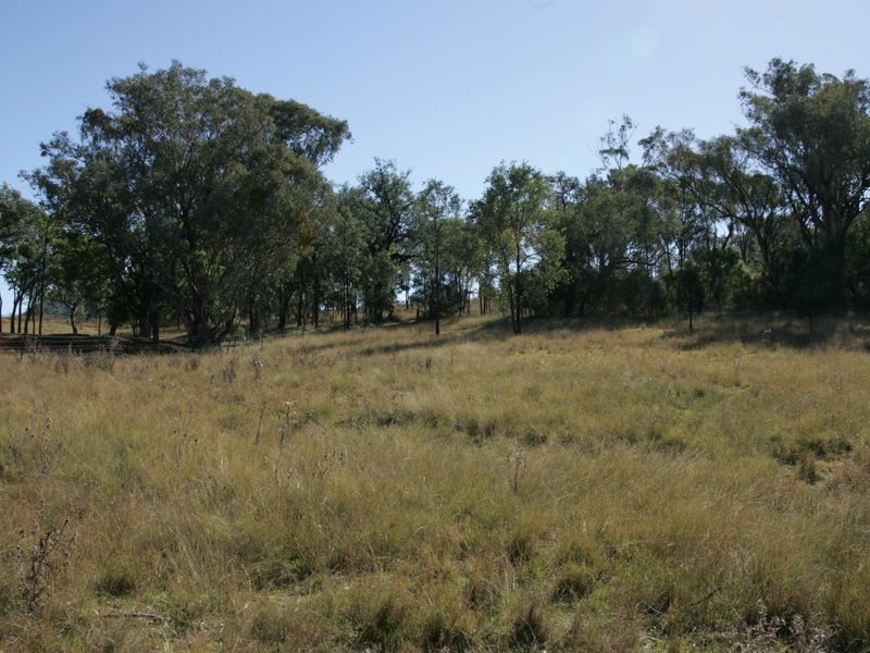 12/786586 Rocky Creek Road, Bonshaw NSW 2361