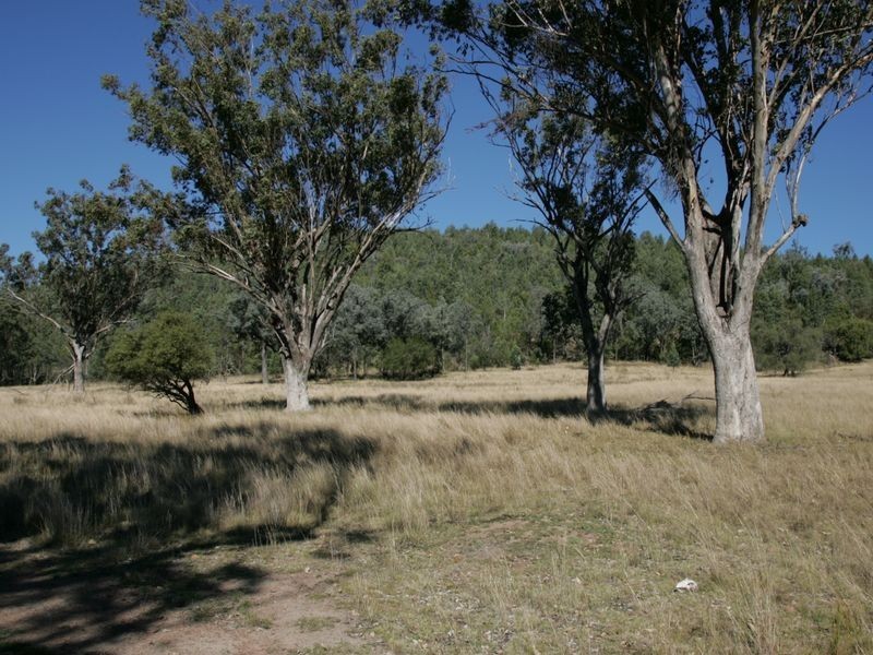 12/786586 Rocky Creek Road, Bonshaw NSW 2361