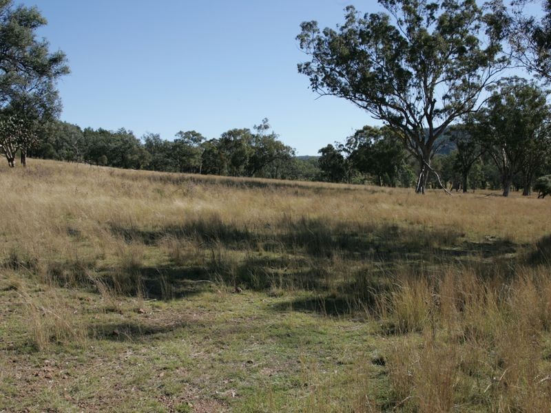 12/786586 Rocky Creek Road, Bonshaw NSW 2361