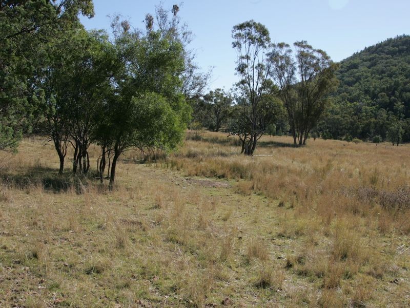 12/786586 Rocky Creek Road, Bonshaw NSW 2361