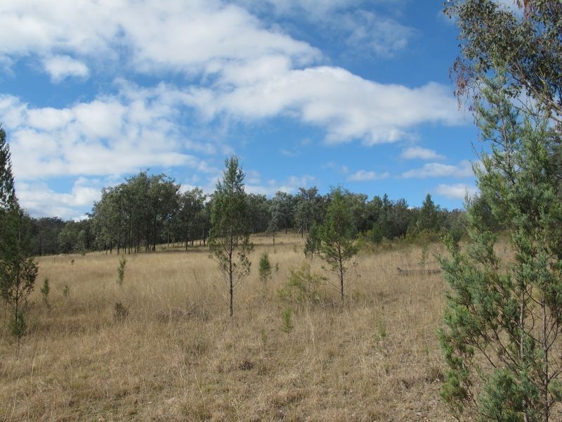 12/786586 Rocky Creek Road, Bonshaw NSW 2361