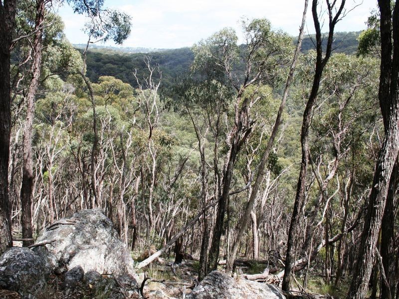 955 Tablelands Road, Kingsgate NSW 2370