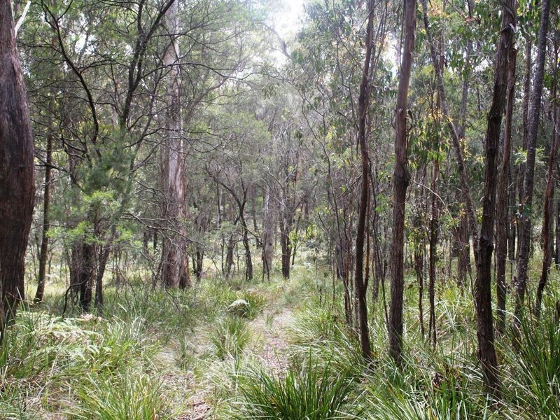 955 Tablelands Road, Kingsgate NSW 2370