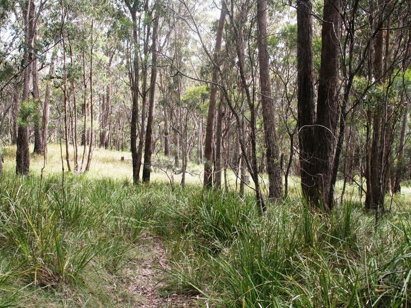 955 Tablelands Road, Kingsgate NSW 2370