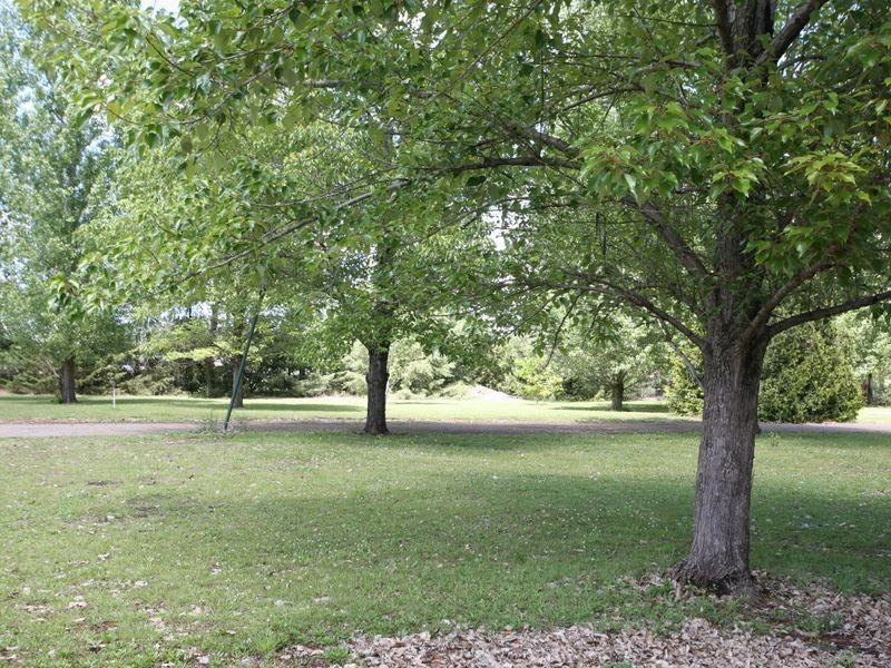 209 Grafton Street, Glen Innes NSW 2370
