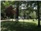 209 Grafton Street, Glen Innes NSW 2370