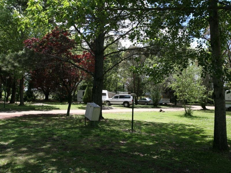 209 Grafton Street, Glen Innes NSW 2370