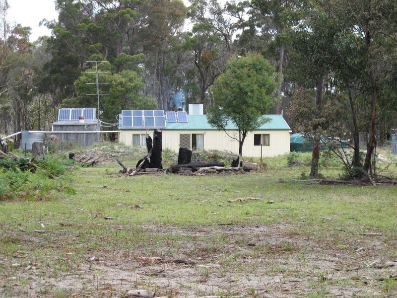 538 Carrot Farm Road, Deepwater NSW 2371