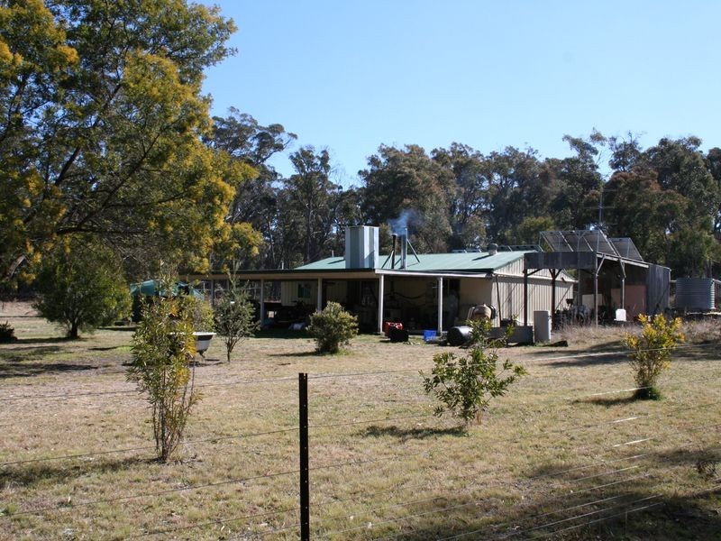 538 Carrot Farm Road, Deepwater NSW 2371