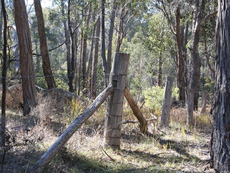 538 Carrot Farm Road, Deepwater NSW 2371