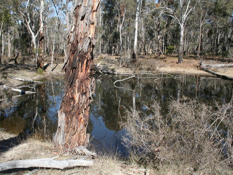 538 Carrot Farm Road, Deepwater NSW 2371