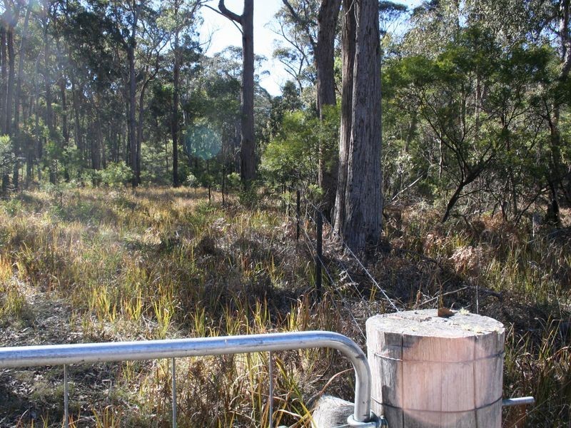 538 Carrot Farm Road, Deepwater NSW 2371